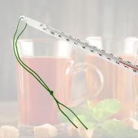 Teethermometer Glas mit Schnur und Hülle