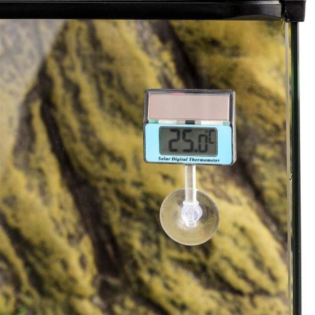 Aquarium -/ Terrarien Thermometer digital mit Saugnapf / Terraristik Shop